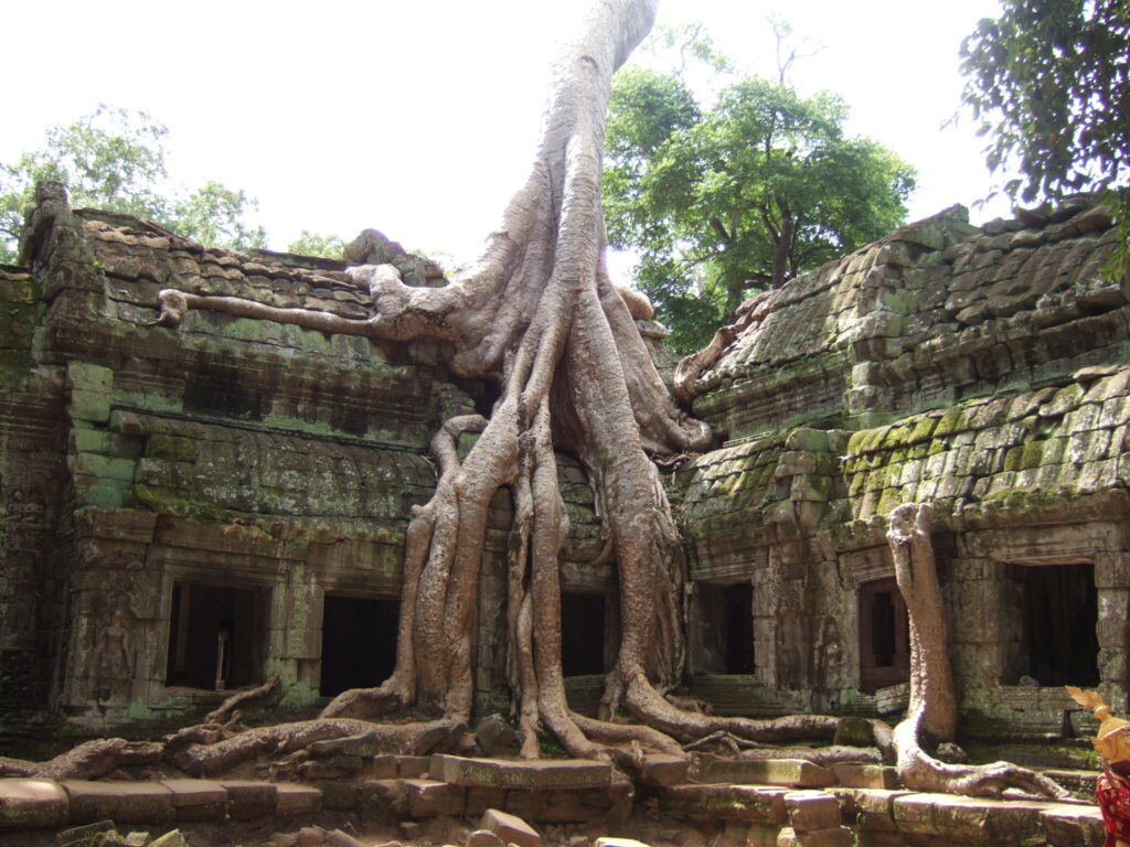 Ta Prohm / タ・プローム