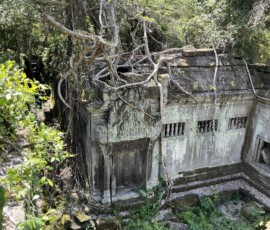 Beng Mealea / ベンメリア：2025