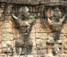 Elephant Terrace / 象のテラス