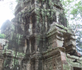 Ta Prohm / タ・プローム