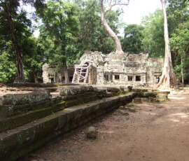 Ta Prohm / タ・プローム
