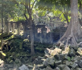 Beng Mealea / ベンメリア：2025