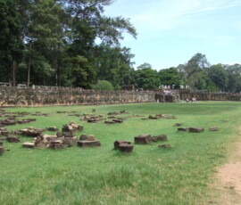 Elephant Terrace / 象のテラス