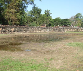 Elephant Terrace / 象のテラス