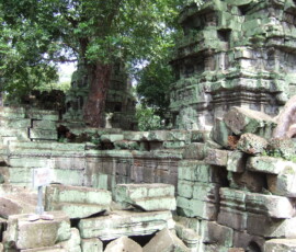 Ta Prohm / タ・プローム