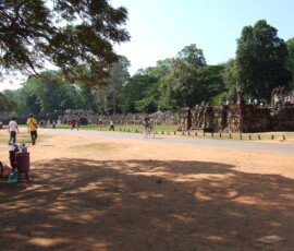 Elephant Terrace / 象のテラス