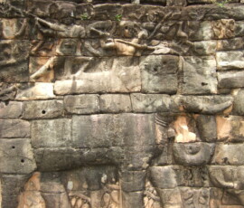 Elephant Terrace / 象のテラス