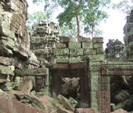 Ta Prohm / タ・プローム