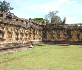 Elephant Terrace / 象のテラス