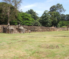 Elephant Terrace / 象のテラス