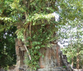 Prasat Tonle Snguot / プラサート・トンレ・スグォット