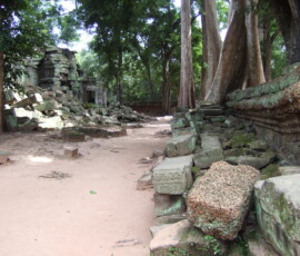 Ta Prohm / タ・プローム