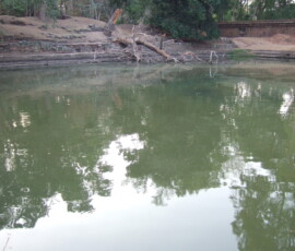 Pool of Woman / 女池