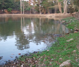 Pool of Woman / 女池