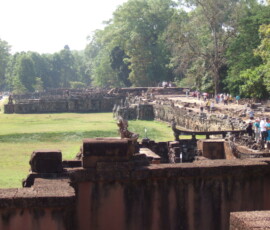 Elephant Terrace / 象のテラス