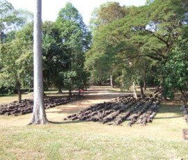 Elephant Terrace / 象のテラス