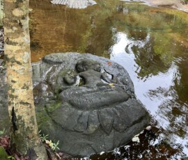 Kbal Spean / クバール・スピアン
