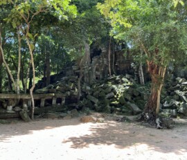 Beng Mealea / ベンメリア：2025