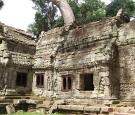 Ta Prohm / タ・プローム