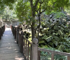 Beng Mealea / ベンメリア：2025
