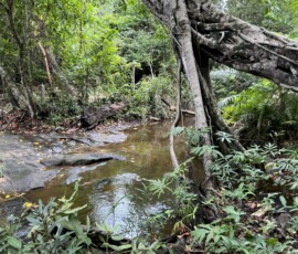 Kbal Spean / クバール・スピアン